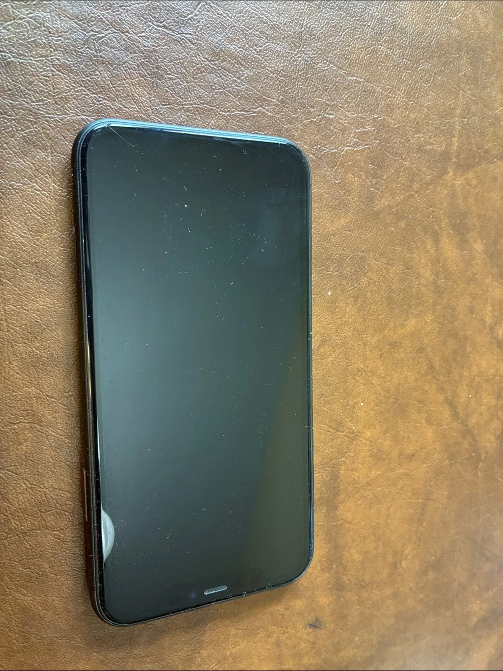 Apple Black iPhone with Dual Rear Cameras and Silver Logo
